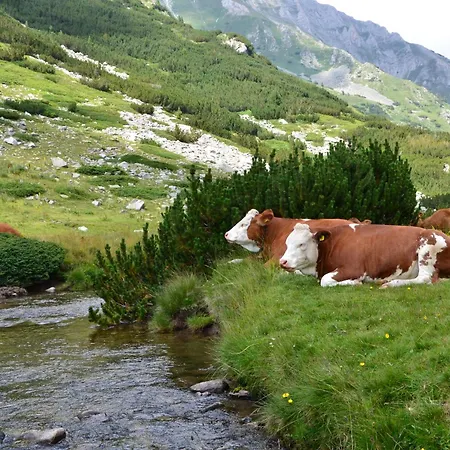 Apartamento Gala 2bedroom 200m From Gondola *