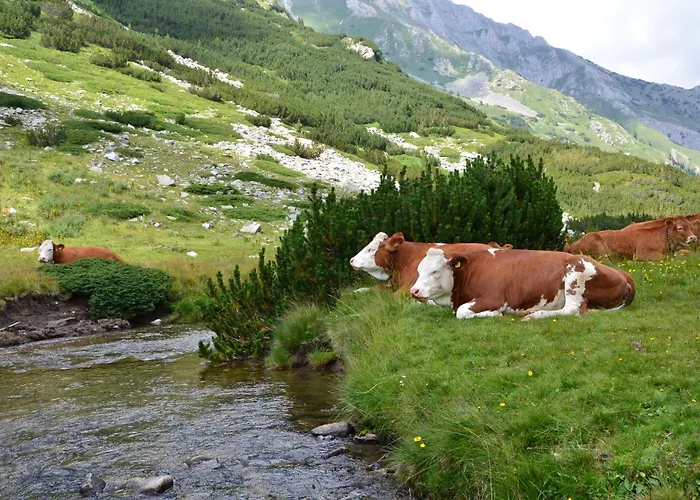 شقة Gala 2bedroom 200m From Gondola *